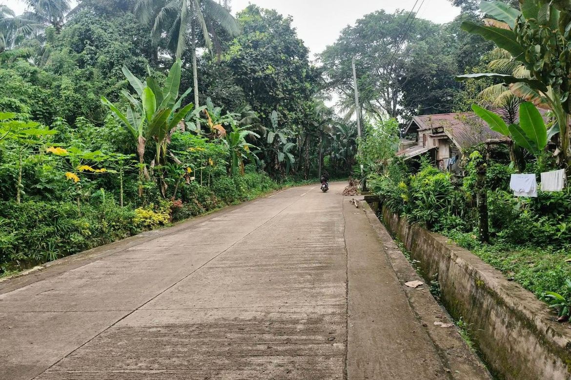 Land for Sale in Eden, Davao City, Davao del Sur – photo 2