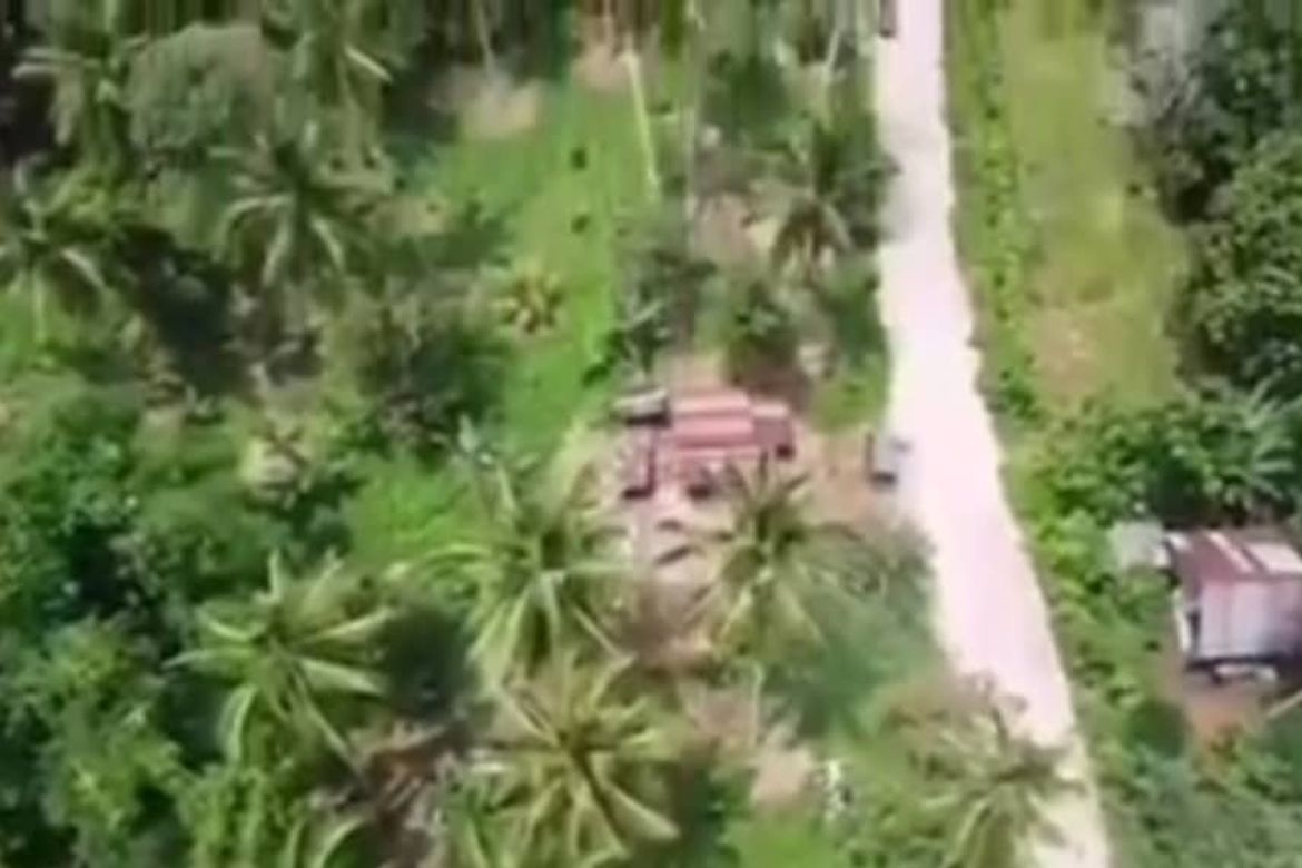 Land for Sale in Eden, Davao City, Davao del Sur