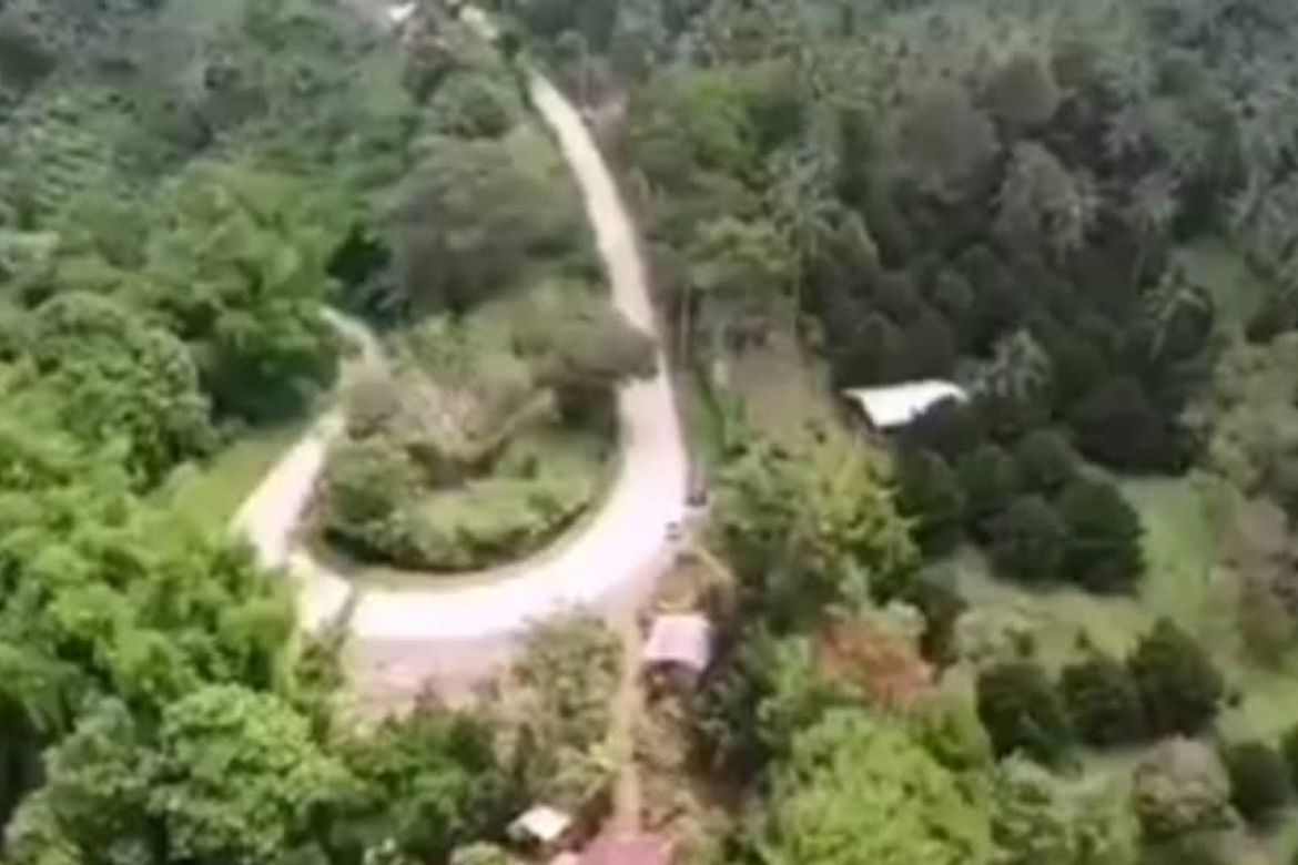 Land for Sale in Eden, Davao City, Davao del Sur – photo 2