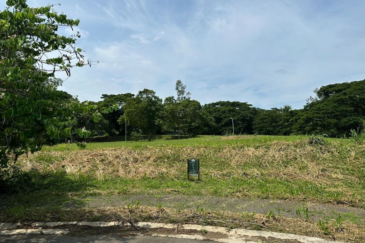 Land for Sale in Elaro, Canlubang, Calamba, Laguna – photo 4