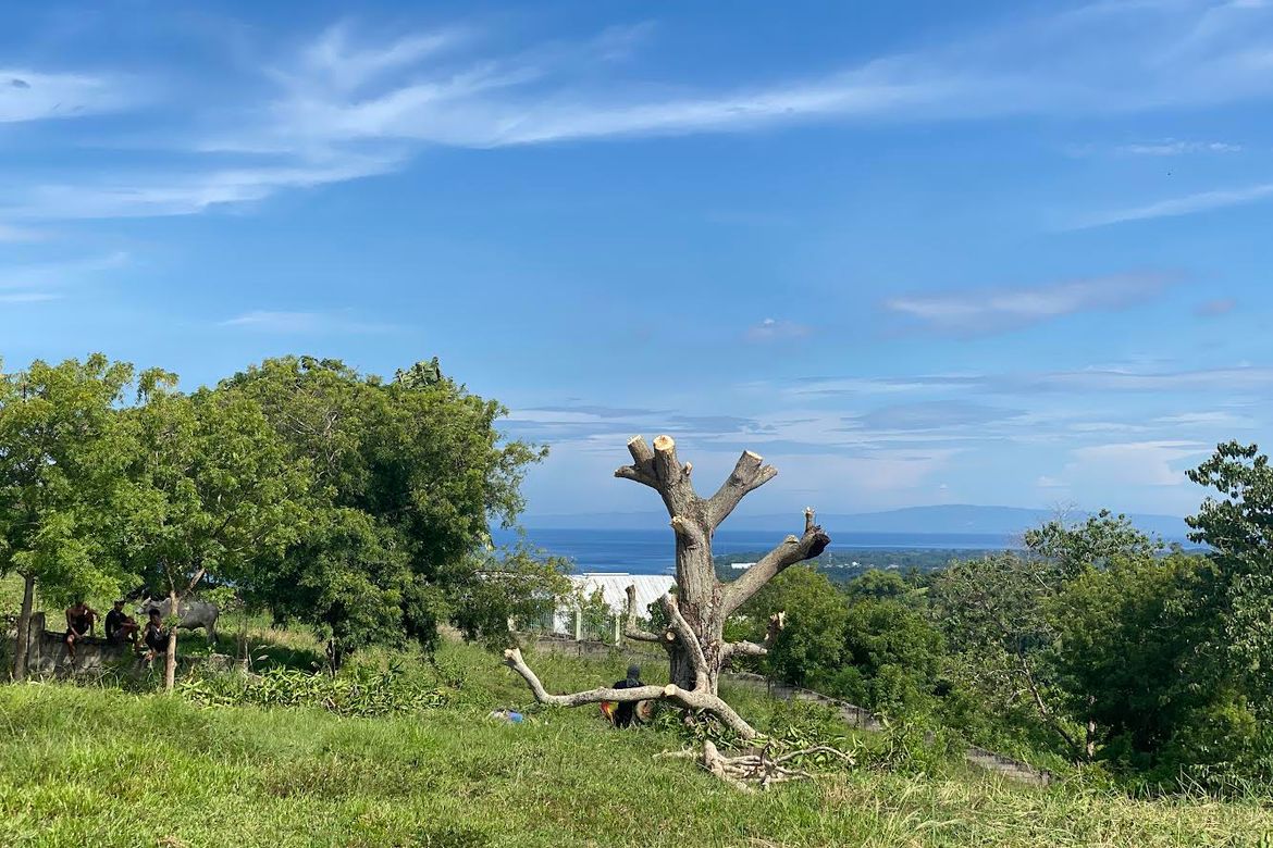 Land for Sale in Enrique Villanueva, Sibulan, Negros Oriental – photo 2