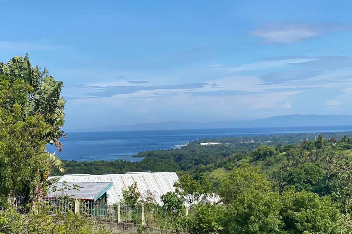Land for Sale in Enrique Villanueva, Sibulan, Negros Oriental – photo 3