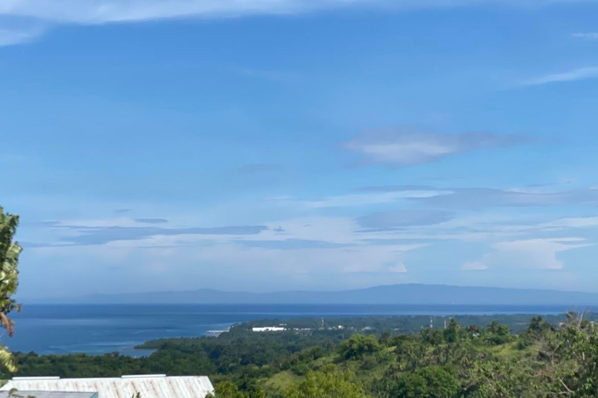 Land for Sale in Enrique Villanueva, Sibulan, Negros Oriental – photo 5