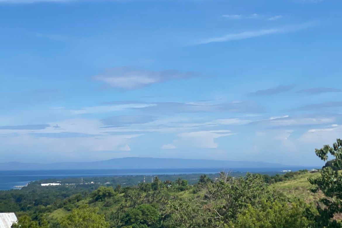 Land for Sale in Enrique Villanueva, Sibulan, Negros Oriental – photo 7