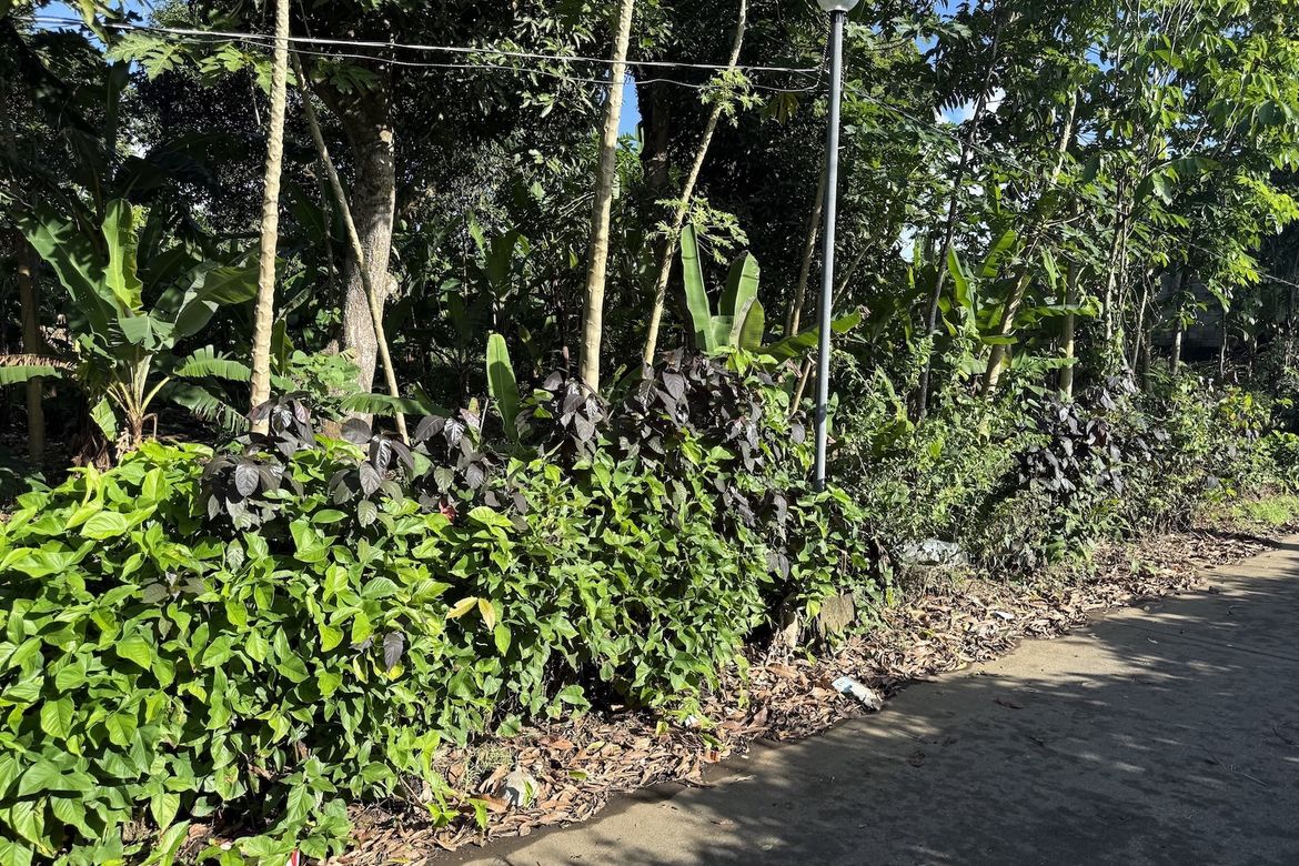 Land for Sale in Esperanza Ilaya, Alfonso, Cavite