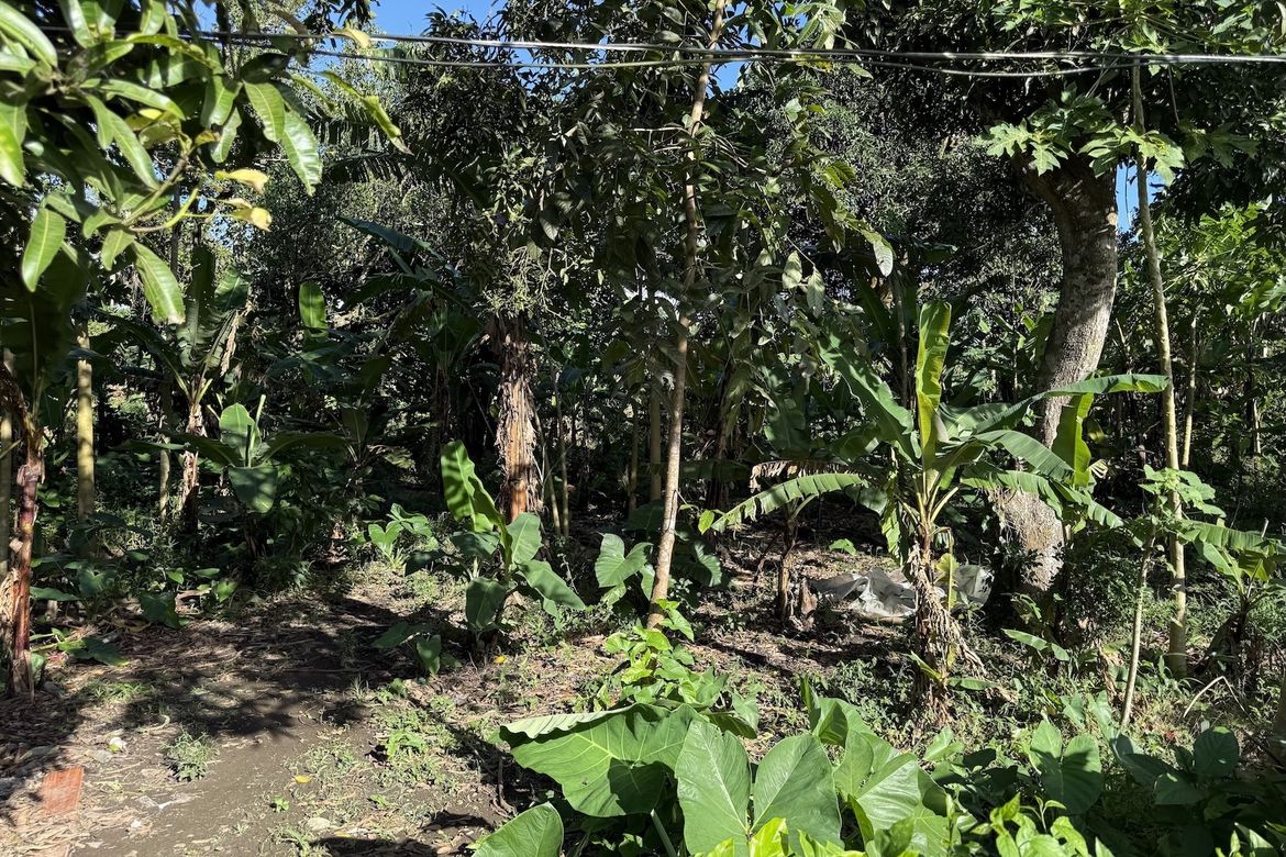 Land for Sale in Esperanza Ilaya, Alfonso, Cavite – photo 2
