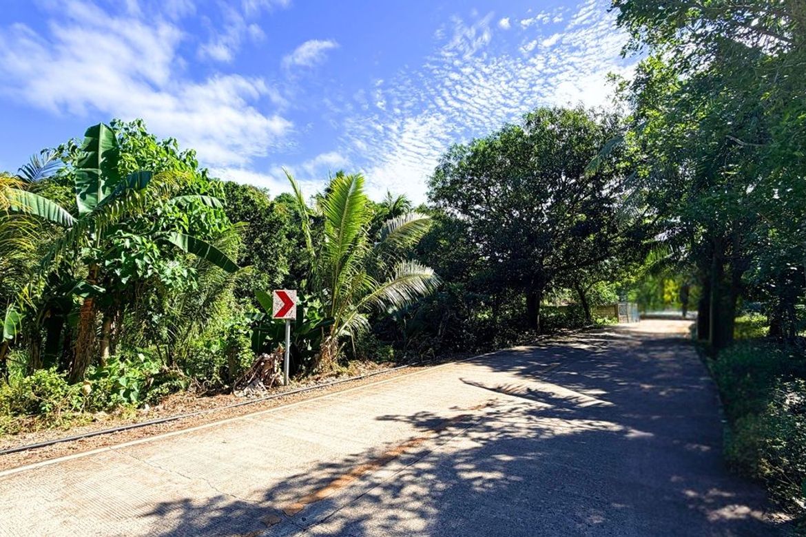 Land for Sale in Esperanza, San Francisco, Cebu – photo 2