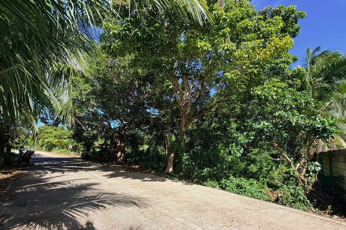 Land for Sale in Esperanza, San Francisco, Cebu – photo 3