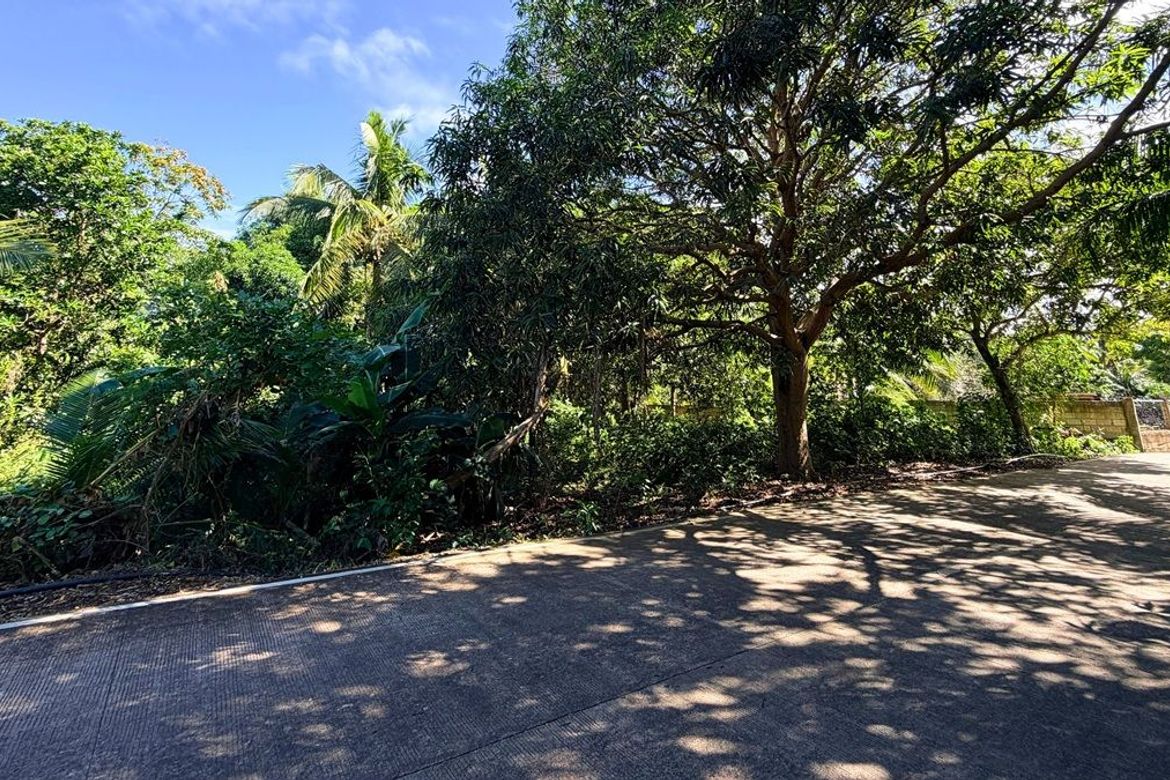 Land for Sale in Esperanza, San Francisco, Cebu – photo 4