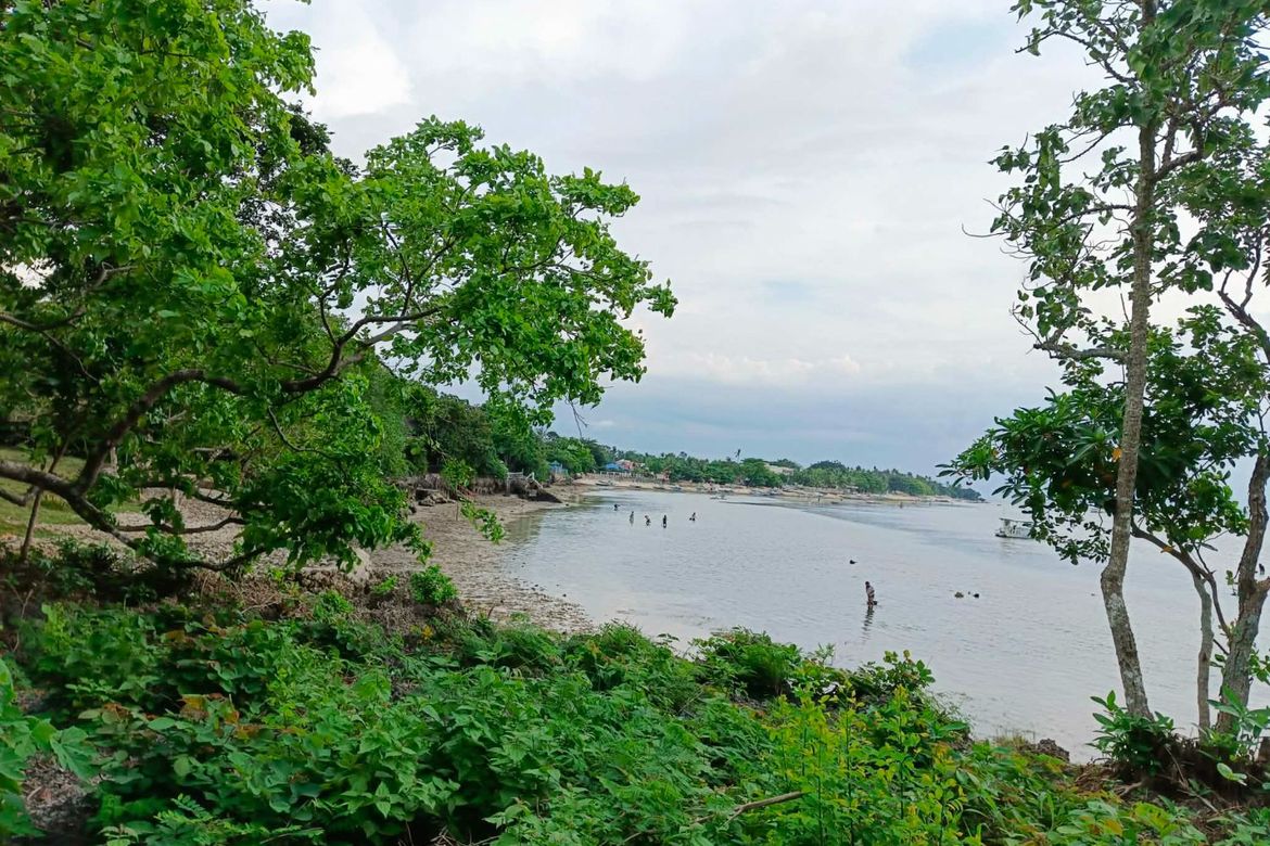 Land for Sale in Esperanza, San Francisco, Cebu