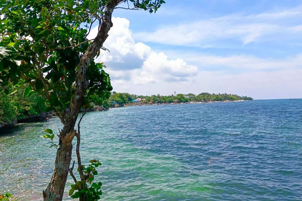 Land for Sale in Esperanza, San Francisco, Cebu – photo 2