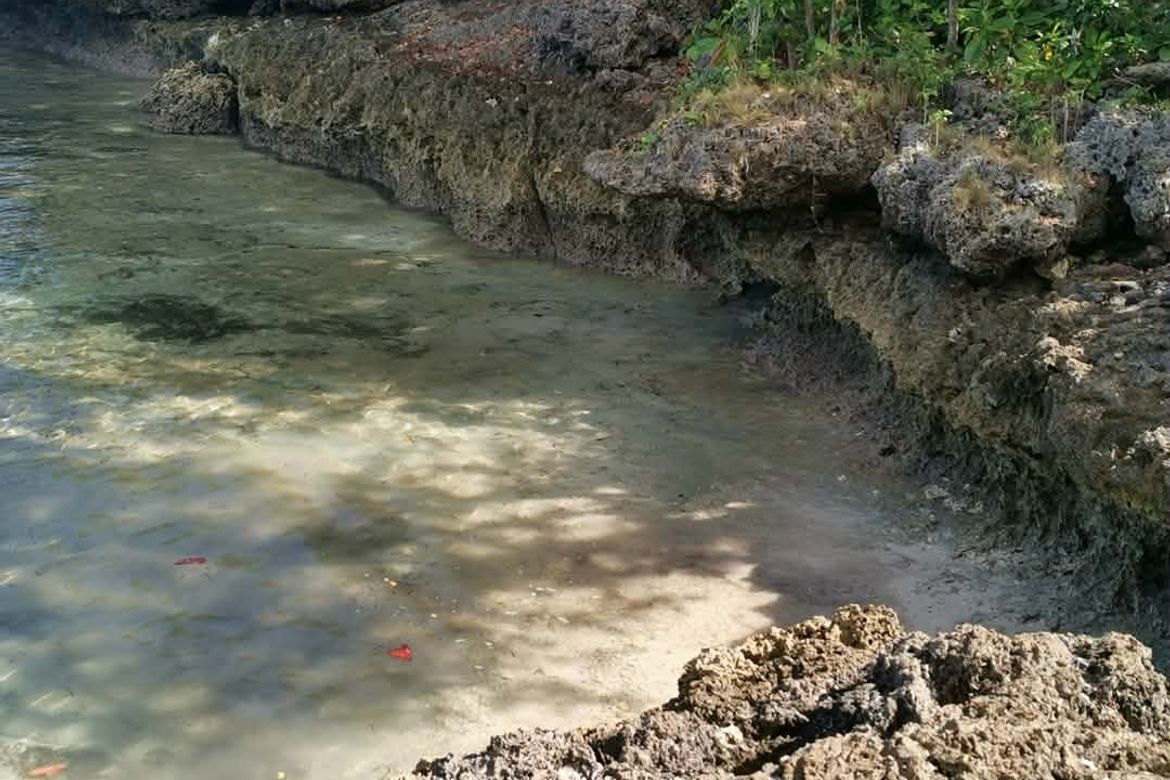 Land for Sale in Esperanza, San Francisco, Cebu – photo 6