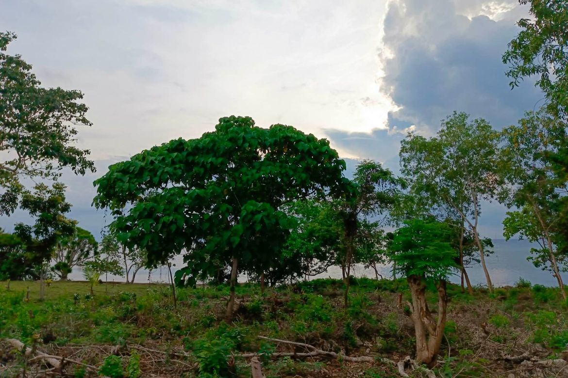 Land for Sale in Esperanza, San Francisco, Cebu – photo 8