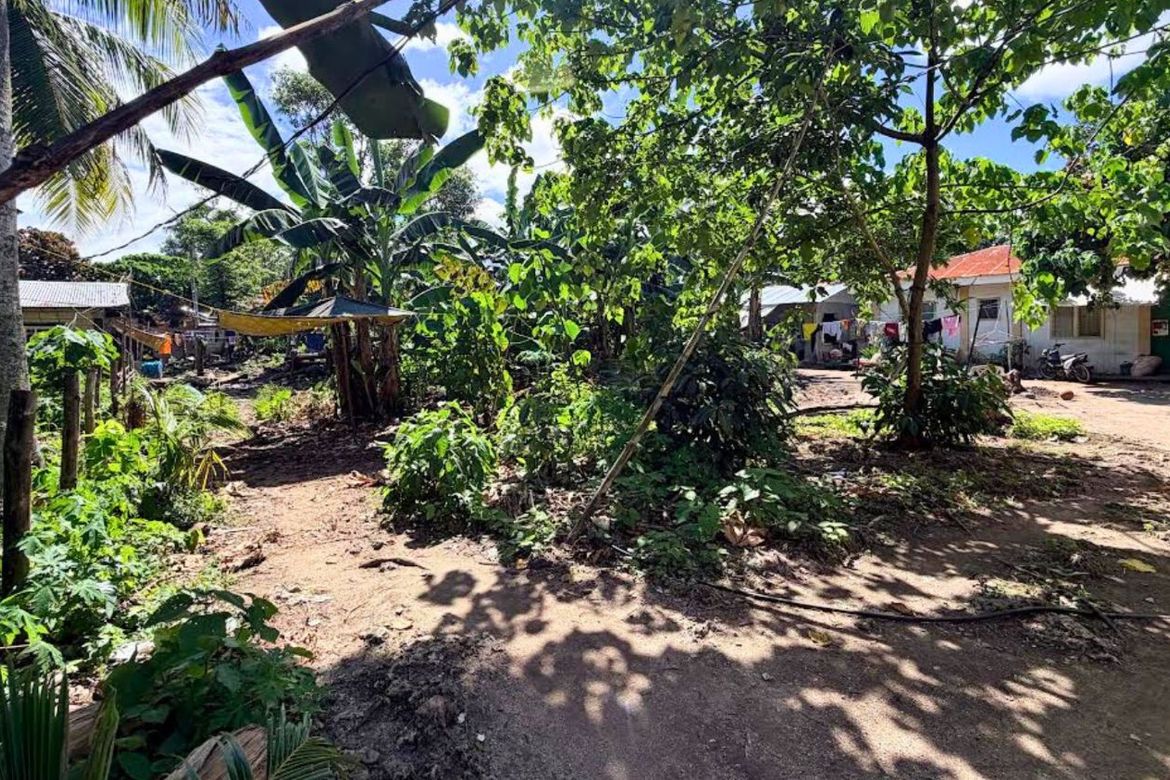 Land for Sale in Esperanza, San Francisco, Cebu – photo 3