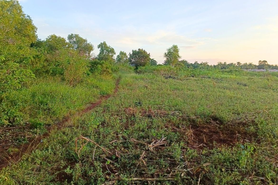 Land for Sale in Esperanza, San Francisco, Cebu – photo 2