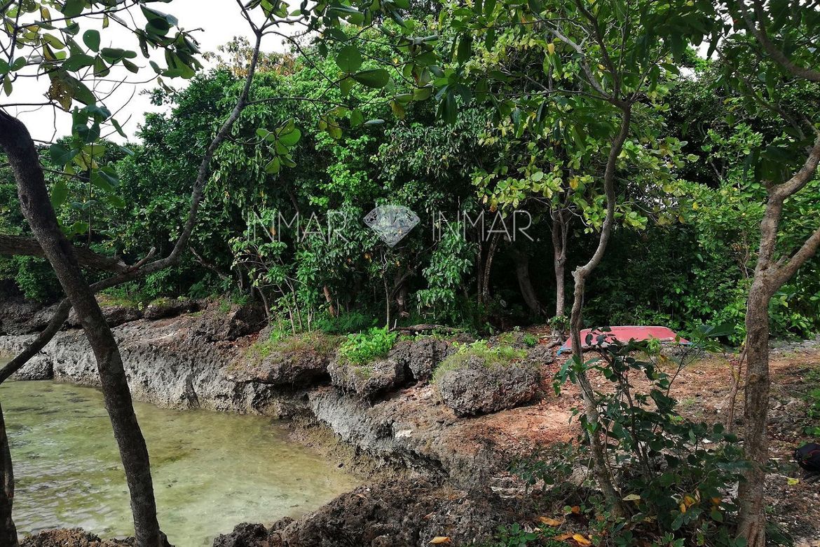 Land for Sale in Esperanza, San Francisco, Cebu – photo 4