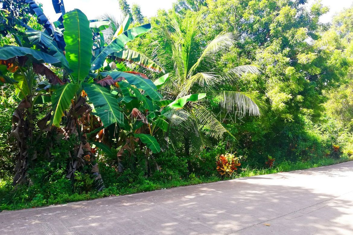 Land for Sale in Esperanza, San Francisco, Cebu – photo 5
