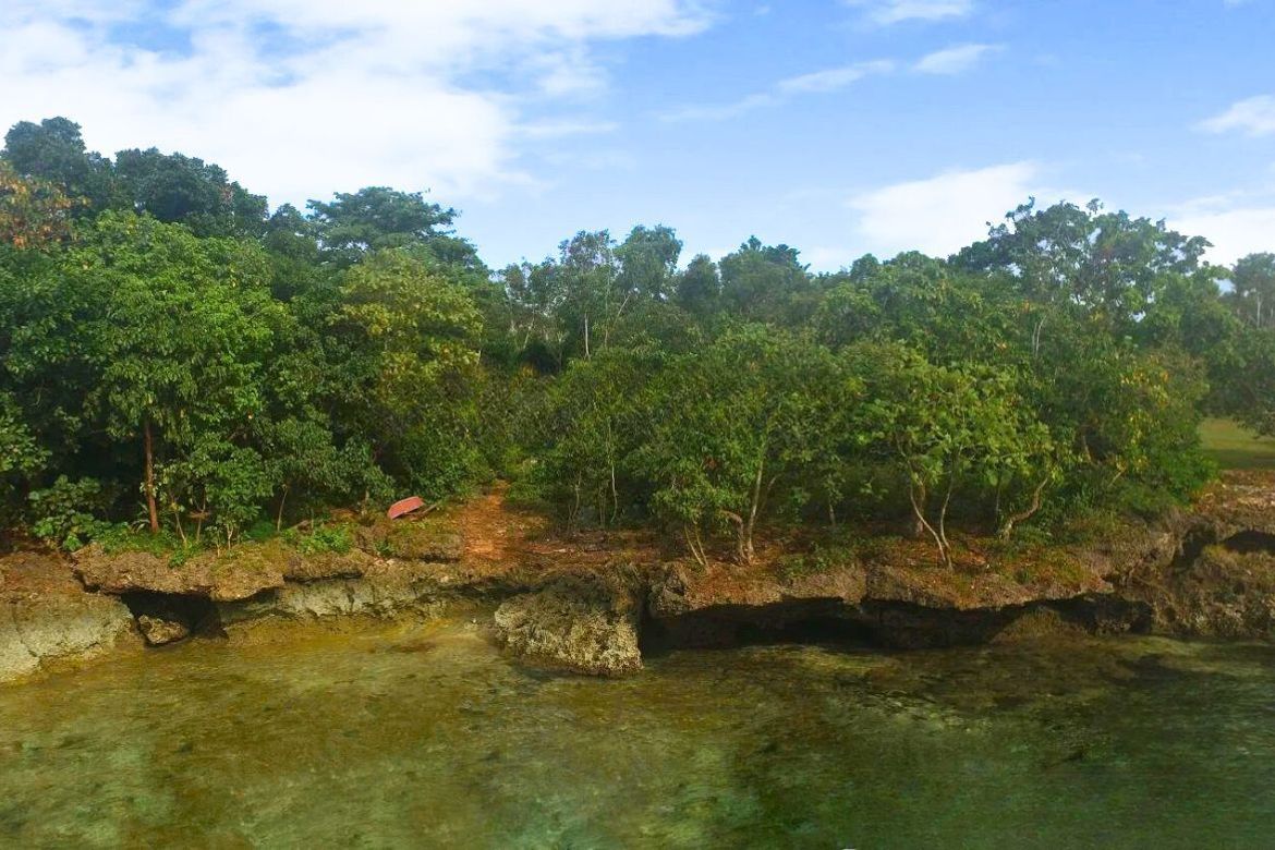 Land for Sale in Esperanza, San Francisco, Cebu – photo 3
