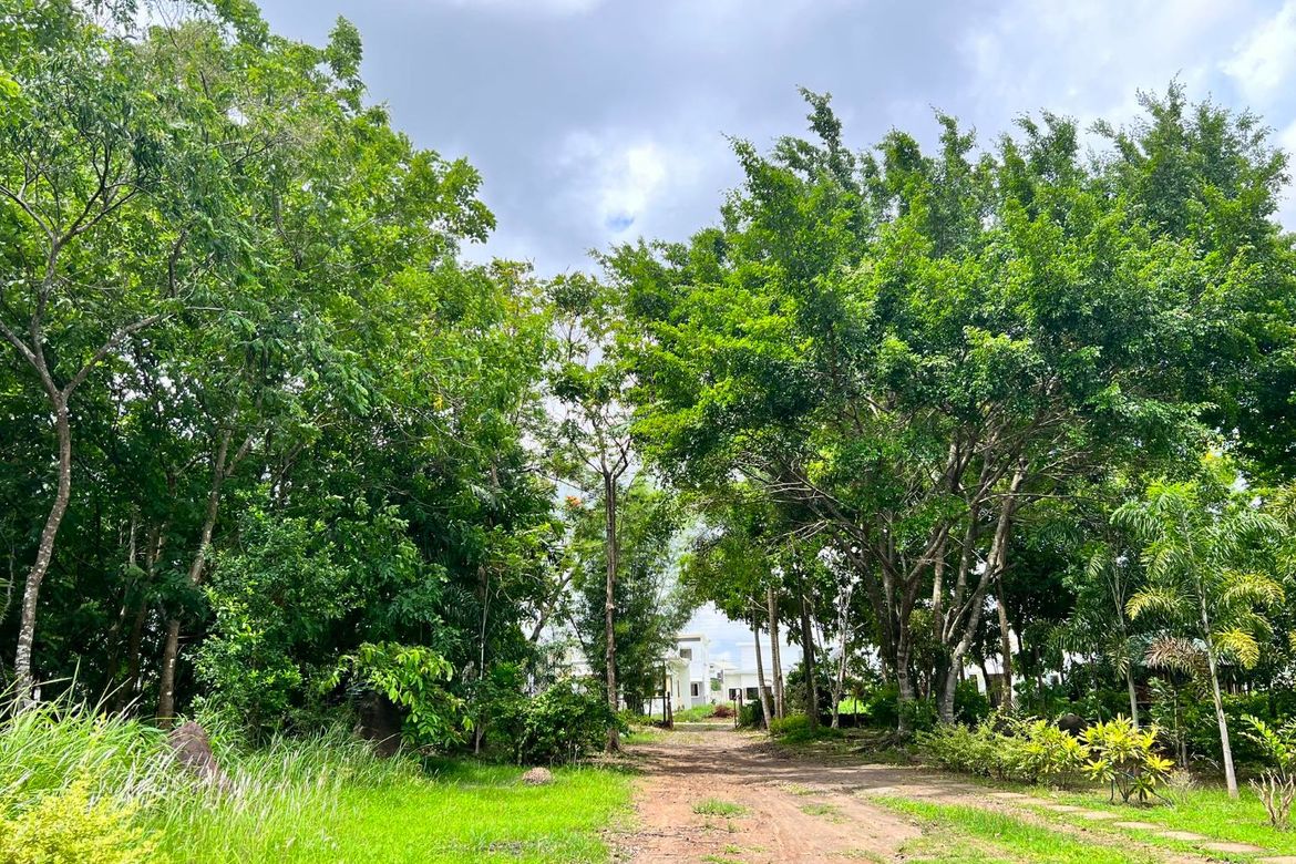 Land for Sale in Estefania, Bacolod, Negros Occidental – photo 3