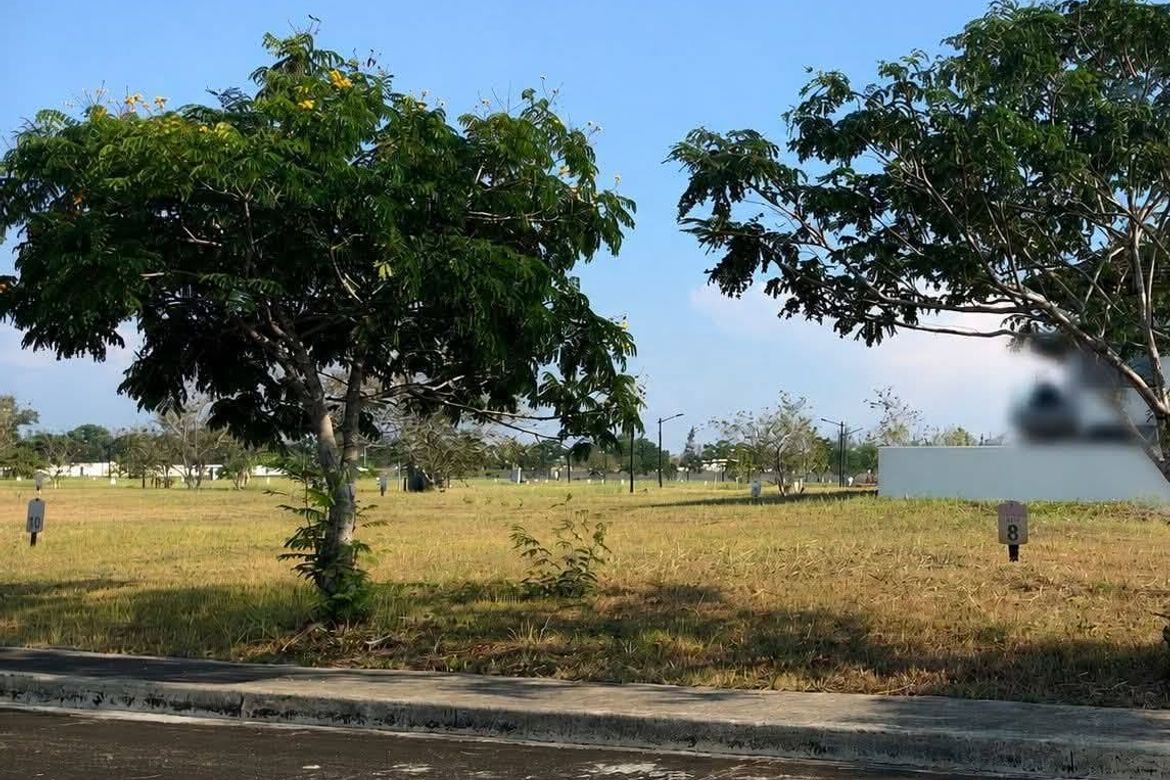 Land for Sale in Estefania, Bacolod, Negros Occidental – photo 3