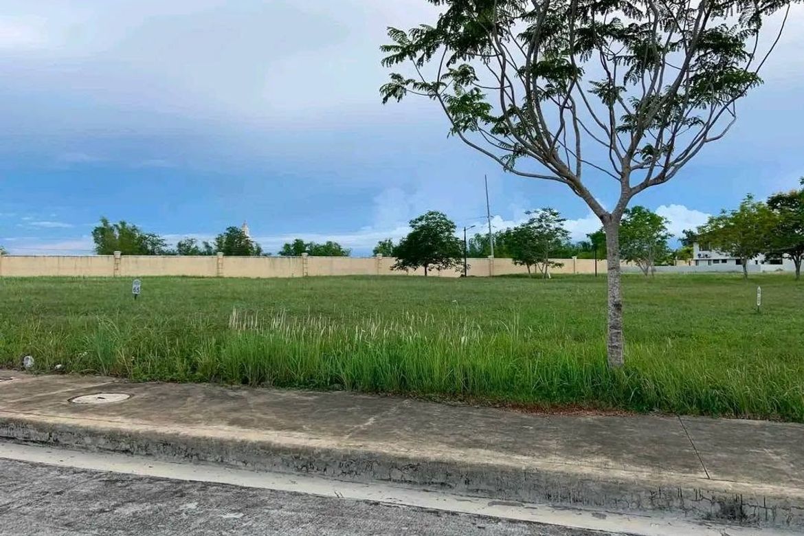 Land for Sale in Estefania, Bacolod, Negros Occidental – photo 6
