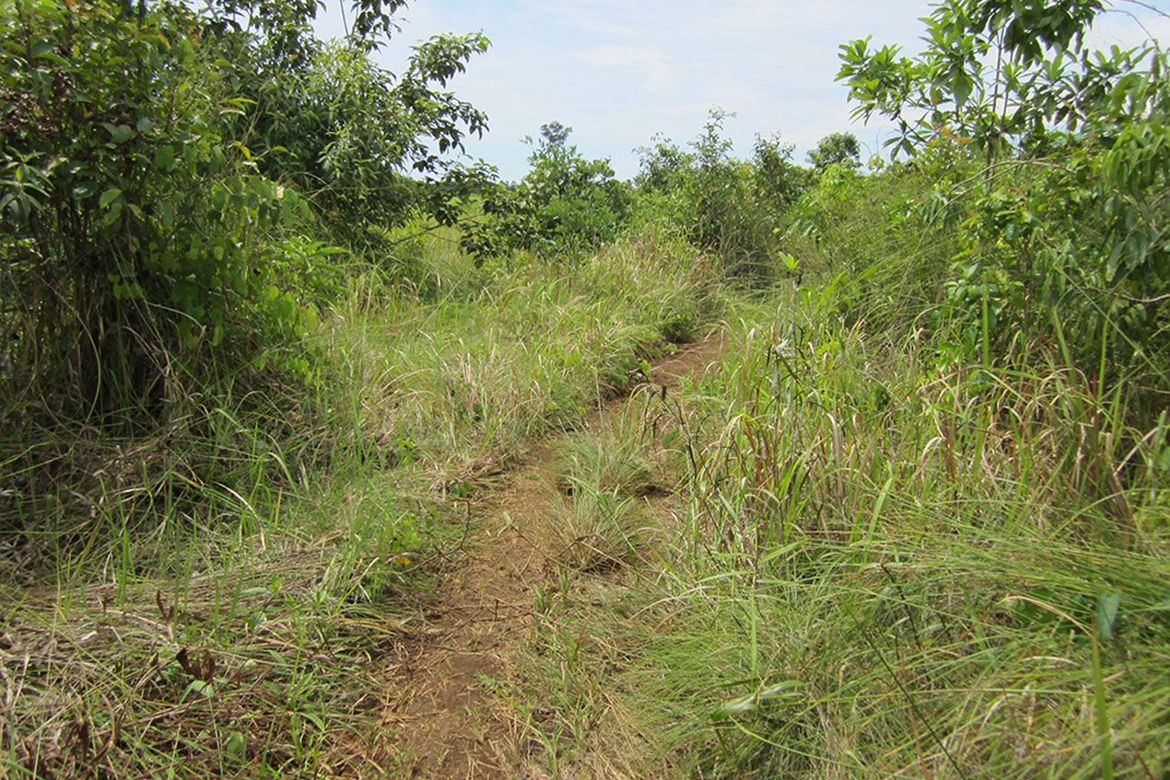 Land for Sale in Estrella Village, Narra, Palawan – photo 8