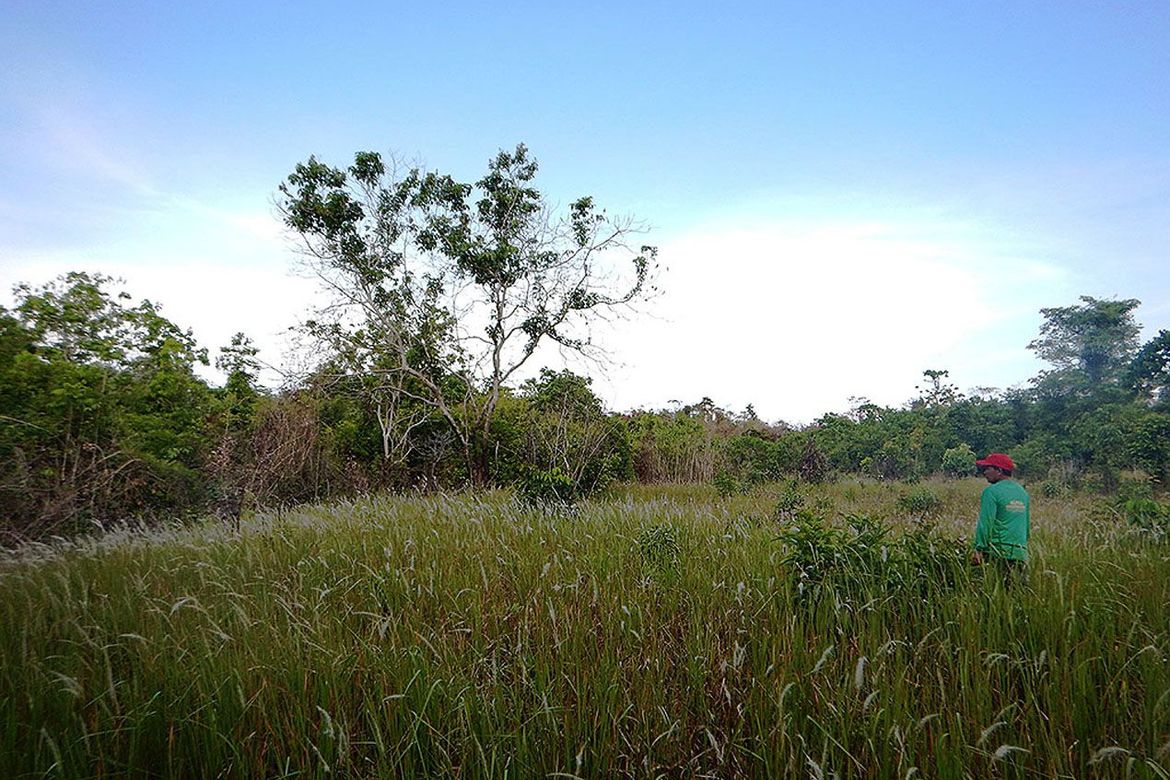 Land for Sale in Estrella Village, Narra, Palawan – photo 5