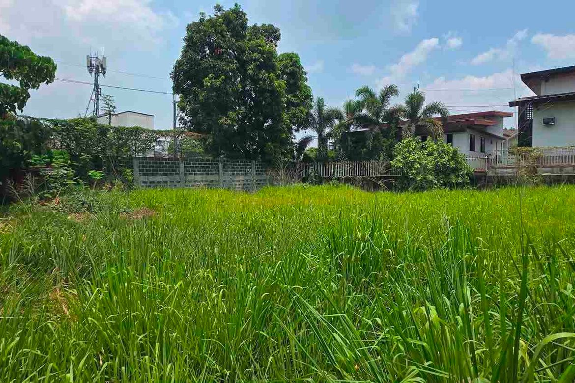 Land for Sale in Fairview, Quezon City, Metro Manila – photo 2