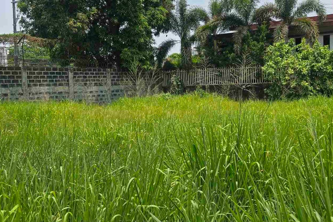 Land for Sale in Fairview, Quezon City, Metro Manila – photo 7