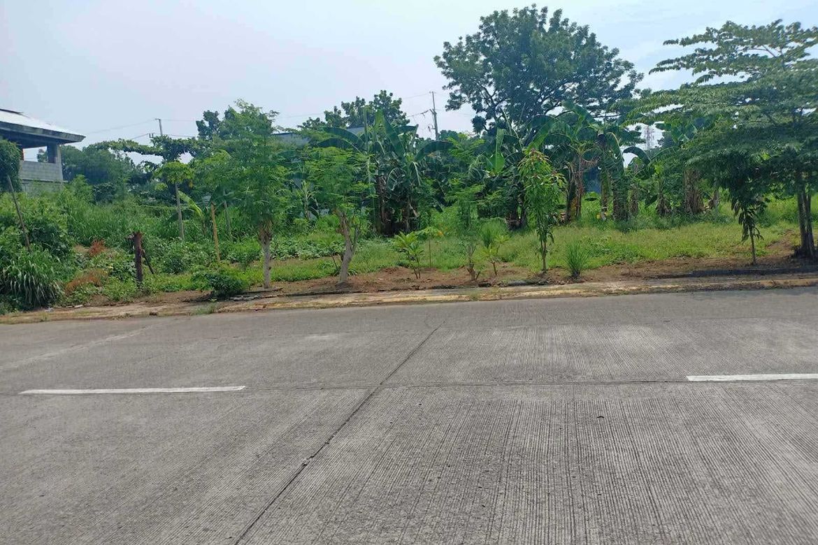 Land for Sale in Fairview, Quezon City, Metro Manila