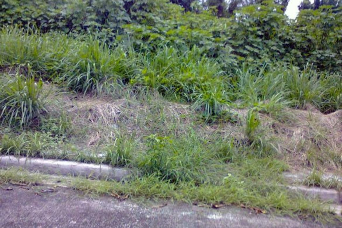 Land for Sale in Fairview, Quezon City, Metro Manila