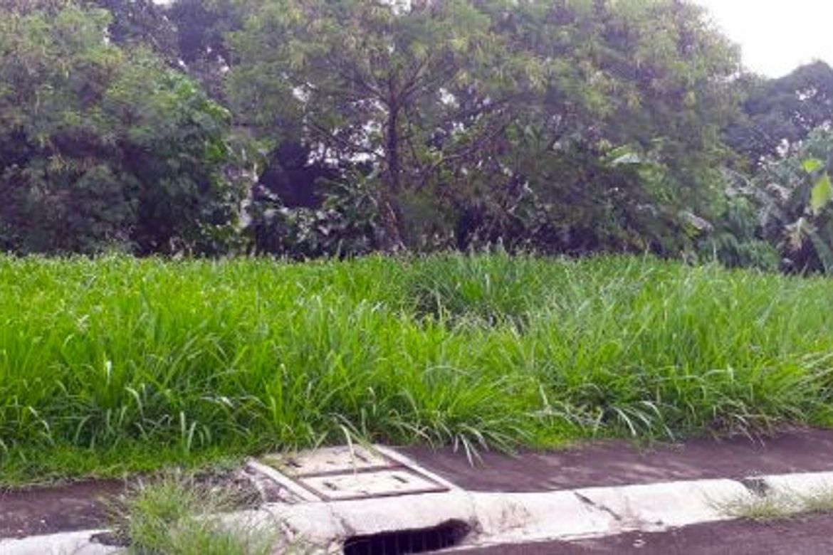 Land for Sale in Fairview, Quezon City, Metro Manila – photo 8