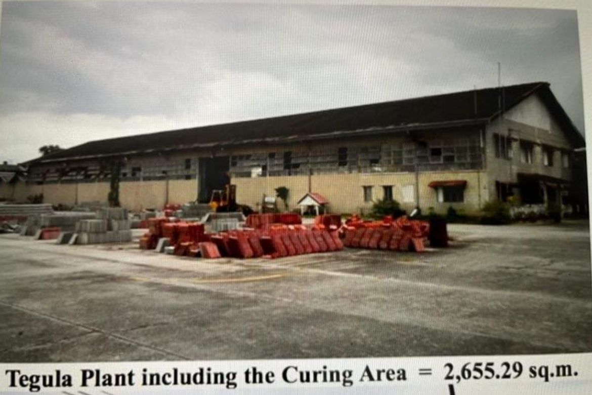 Land for Sale in Fatima, San Pedro, Laguna – photo 4