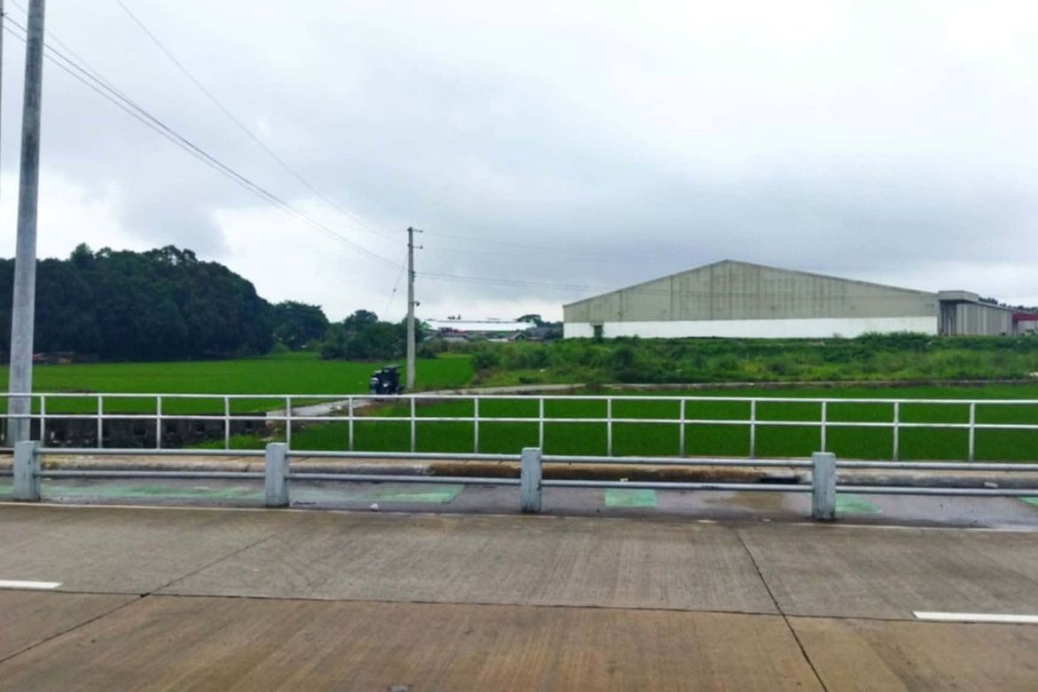 Land for Sale in Ferdinand E. Marcos Poblacion, San Jose, Nueva Ecija
