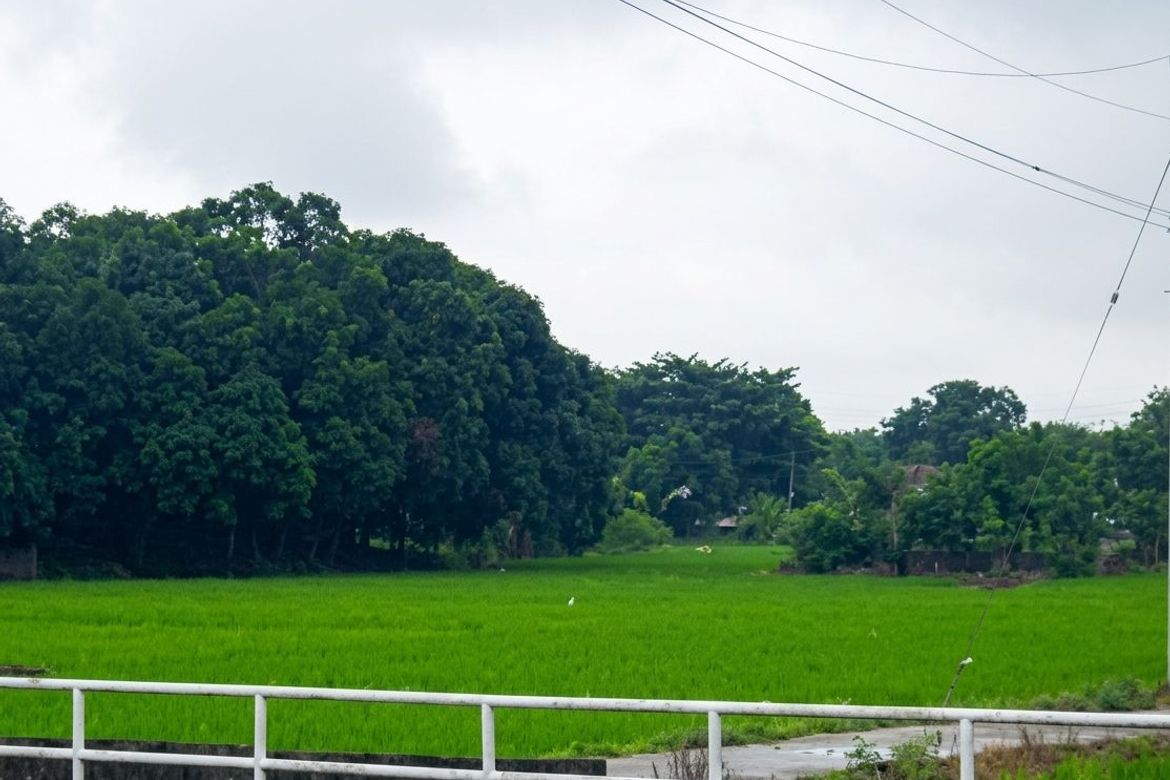 Land for Sale in Ferdinand E. Marcos Poblacion, San Jose, Nueva Ecija – photo 4
