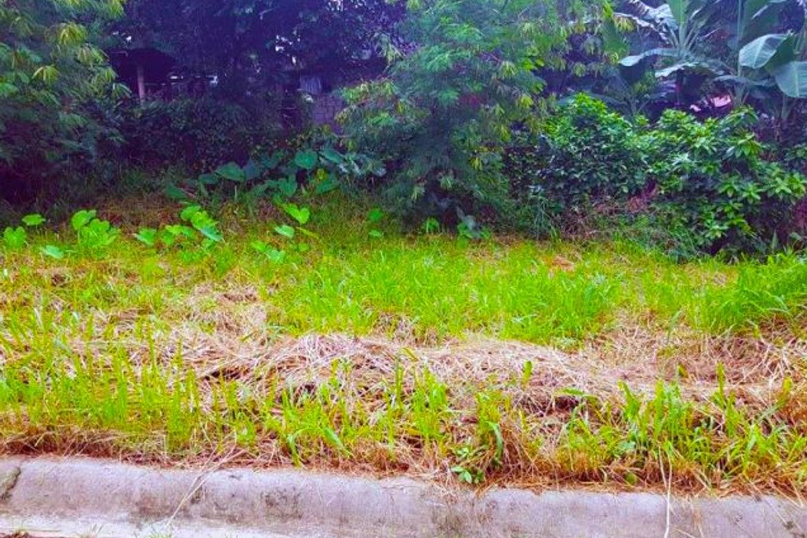 Land for Sale in Forbes Park North, Makati, Metro Manila – photo 6