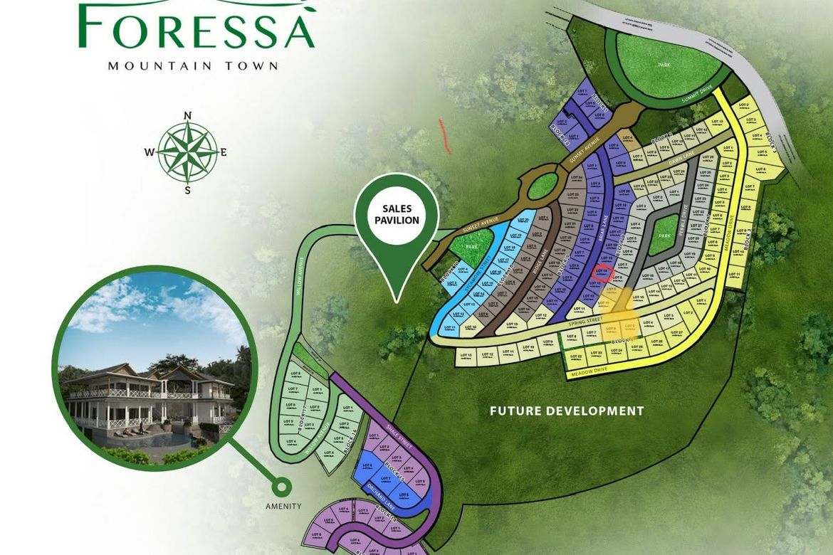 Land for Sale in Foressa Mountain Town, Cansomoroy, Balamban, Cebu – photo 3