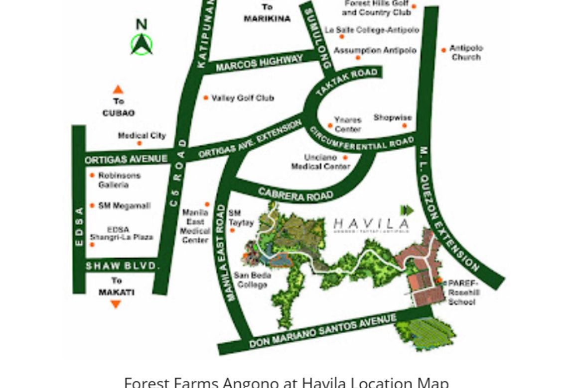 Land for Sale in Forest Farms The Grove, Mahabang Parang, Angono, Rizal – photo 2