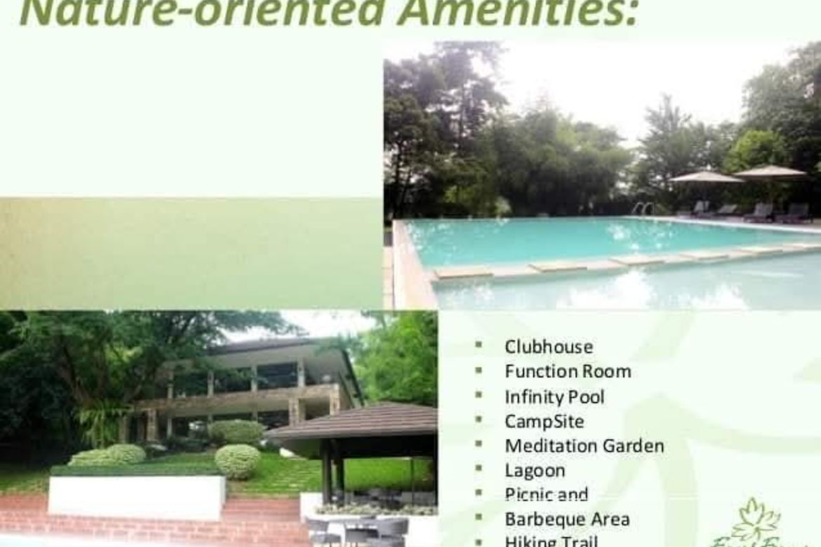 Land for Sale in Forest Farms The Grove, Mahabang Parang, Angono, Rizal – photo 7