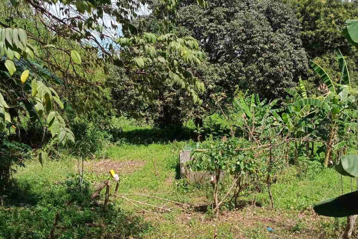 Land for Sale in Fortune, Marikina, Metro Manila – photo 4