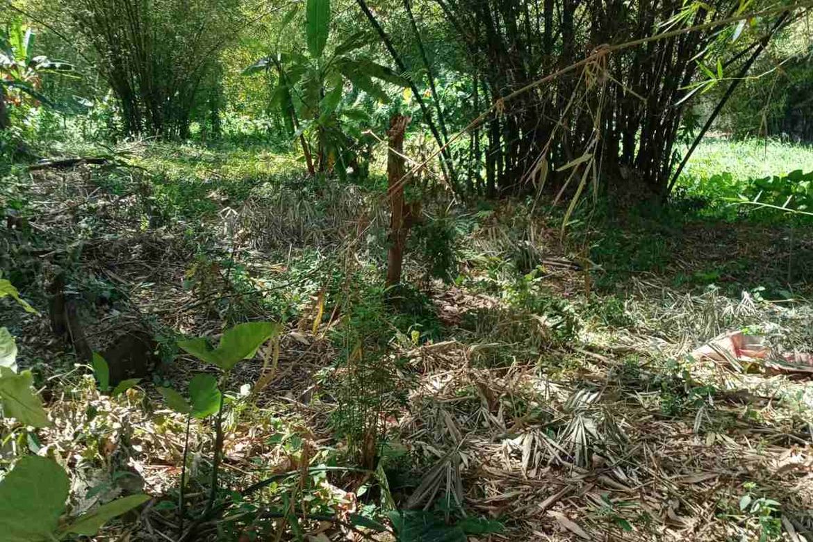 Land for Sale in Fortune, Marikina, Metro Manila – photo 5