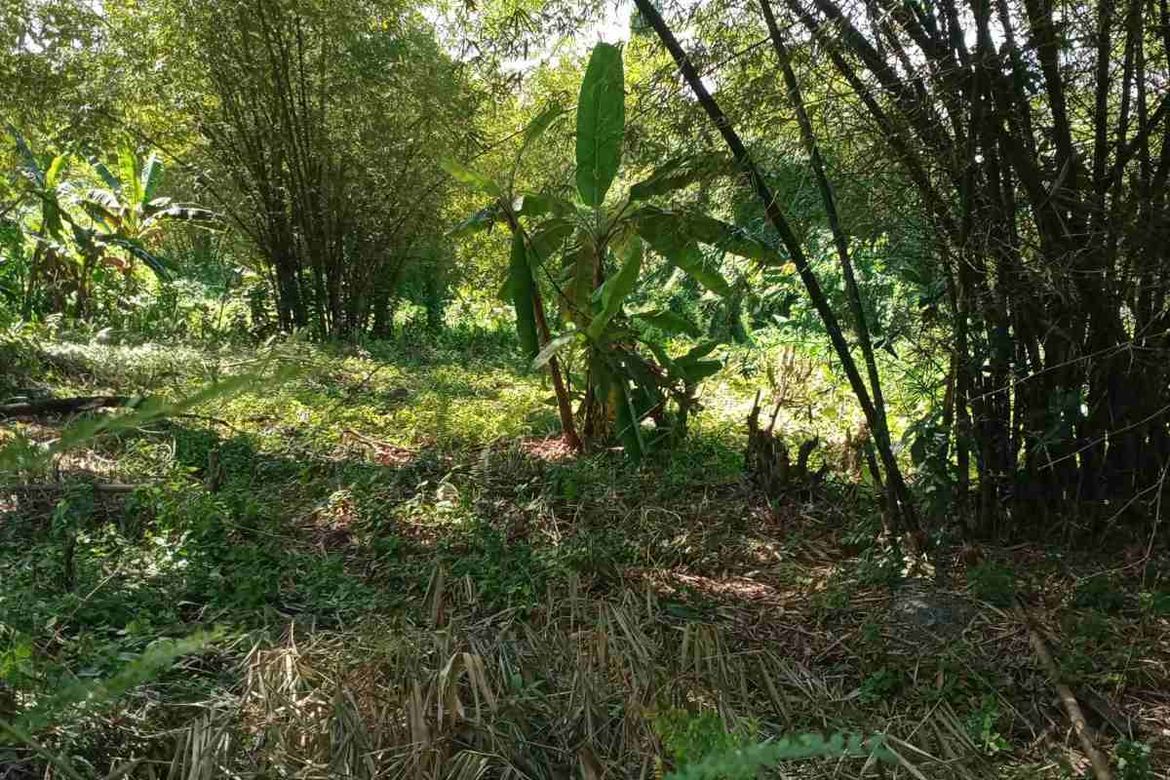Land for Sale in Fortune, Marikina, Metro Manila – photo 6