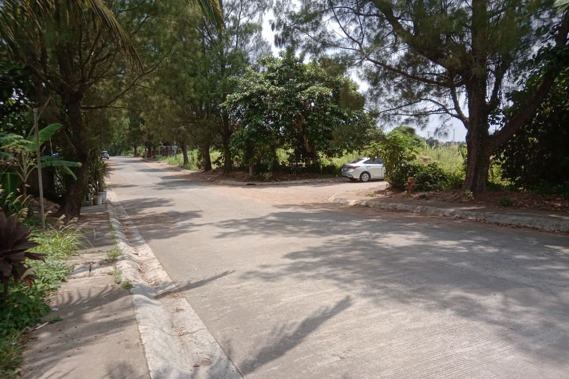Land for Sale in Francisco, Tagaytay, Cavite – photo 4