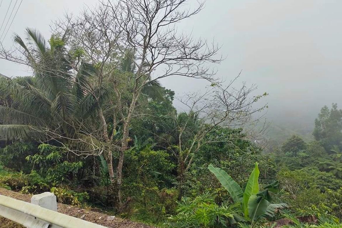 Land for Sale in Gaas, Balamban, Cebu