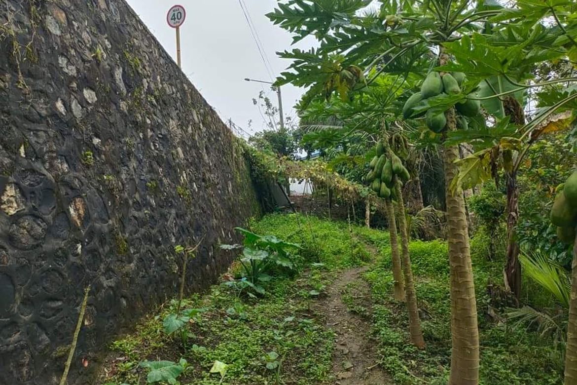 Land for Sale in Gaas, Balamban, Cebu – photo 3