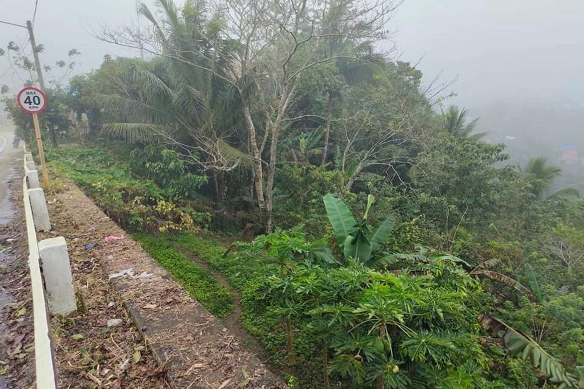 Land for Sale in Gaas, Balamban, Cebu – photo 4