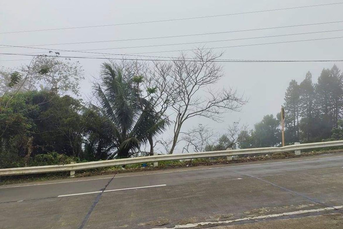 Land for Sale in Gaas, Balamban, Cebu – photo 5