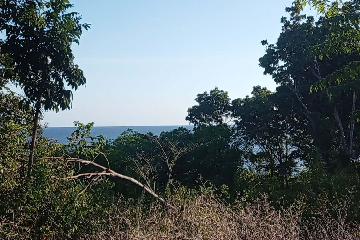 Land for Sale in Gabayan, Lazi, Siquijor – photo 5