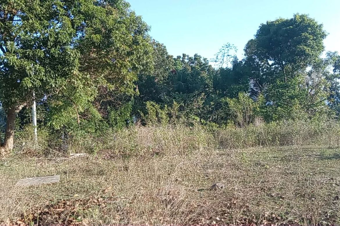 Land for Sale in Gabayan, Lazi, Siquijor – photo 6