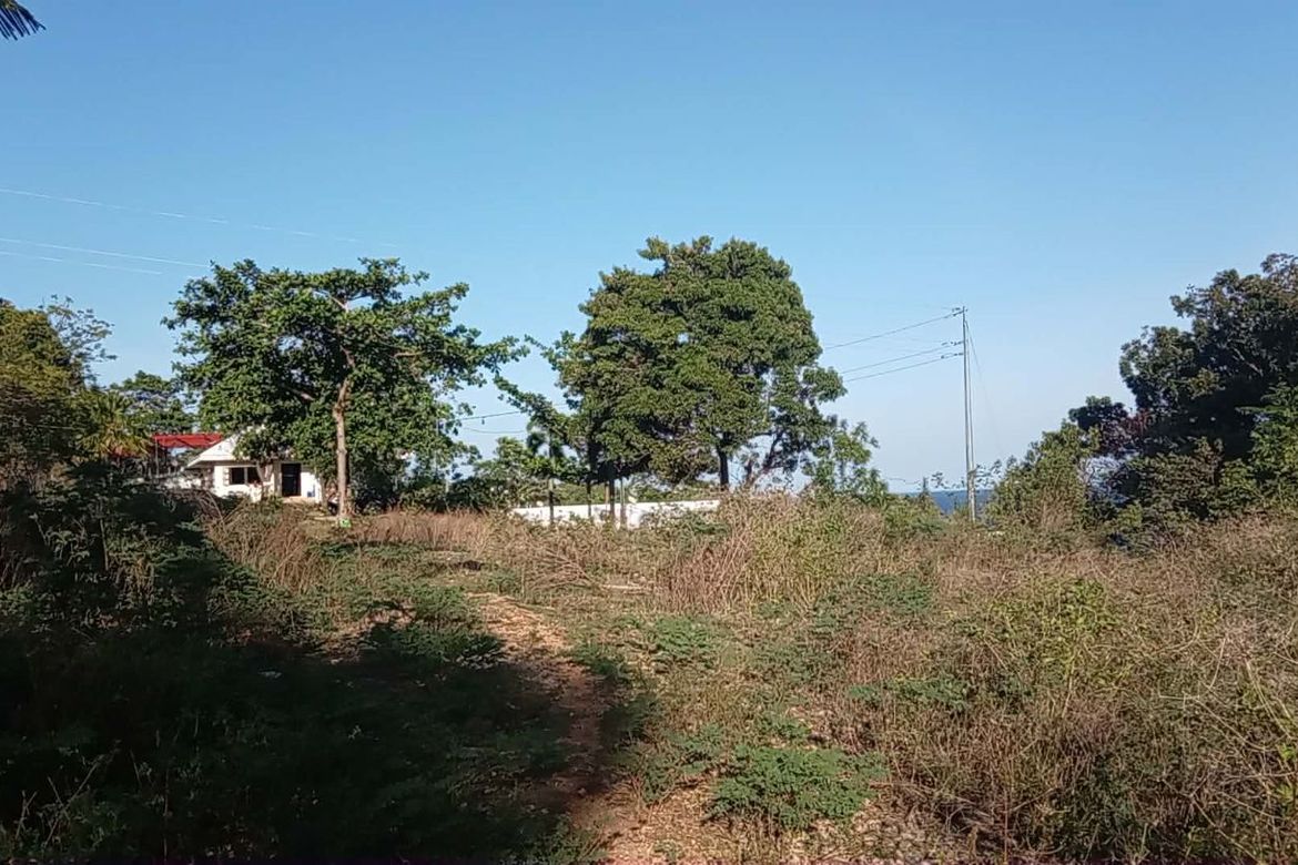 Land for Sale in Gabayan, Lazi, Siquijor – photo 8